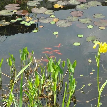 Gaestezimmer - Fuhrhalterei Maul Lejlighed