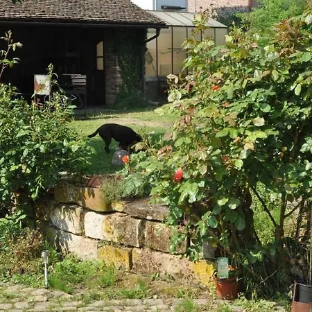 Gaestezimmer - Fuhrhalterei Maul Appartamento *