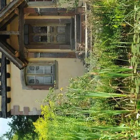 Gaestezimmer - Fuhrhalterei Maul Apartment