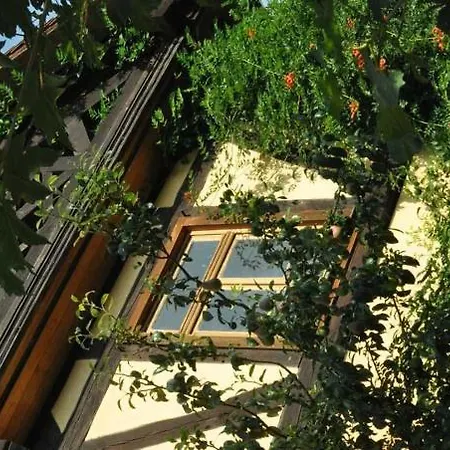 Gaestezimmer - Fuhrhalterei Maul Appartamento Breuberg