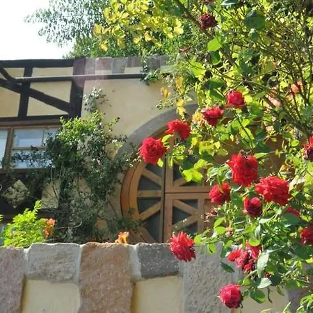 Appartamento Gaestezimmer - Fuhrhalterei Maul *