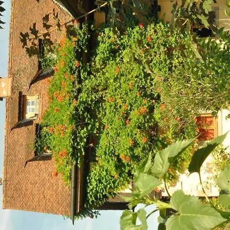 Gaestezimmer - Fuhrhalterei Maul Appartamento *