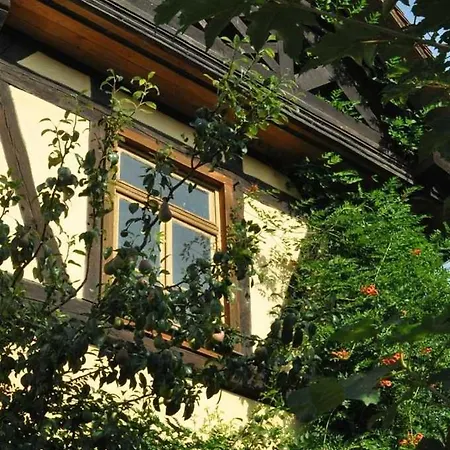 Lejlighed Gaestezimmer - Fuhrhalterei Maul Breuberg