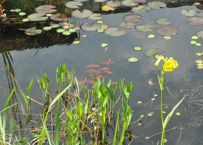 Gaestezimmer - Fuhrhalterei Maul アパート