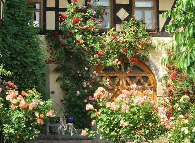 Gaestezimmer - Fuhrhalterei Maul アパート Breuberg