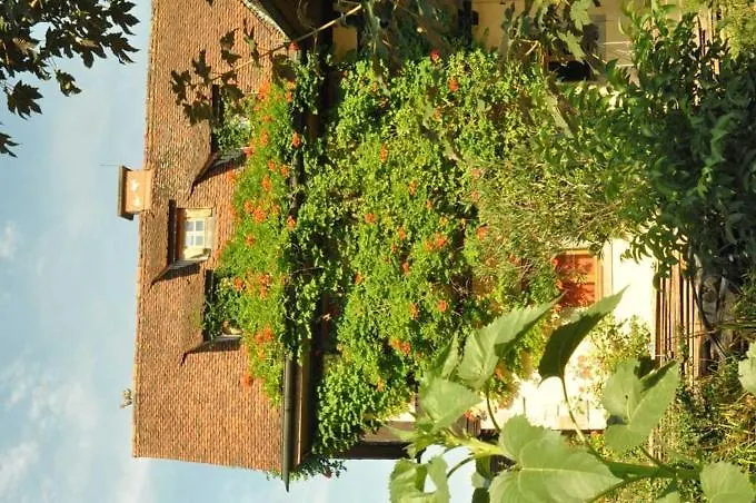 Gaestezimmer - Fuhrhalterei Maul アパート *